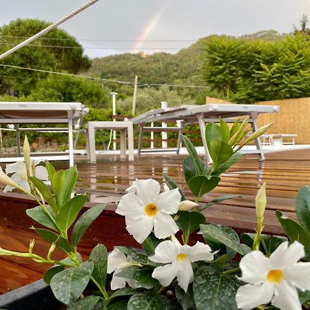 Impronte Nel Bosco Bed and Breakfast Calice al Cornoviglio Eksteriør billede